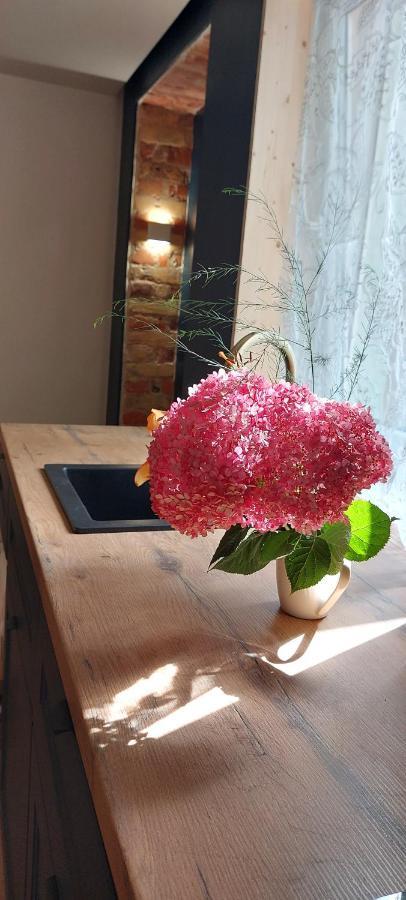 Apartment Cenkone Close To Sea And Park, Cozy Studio *