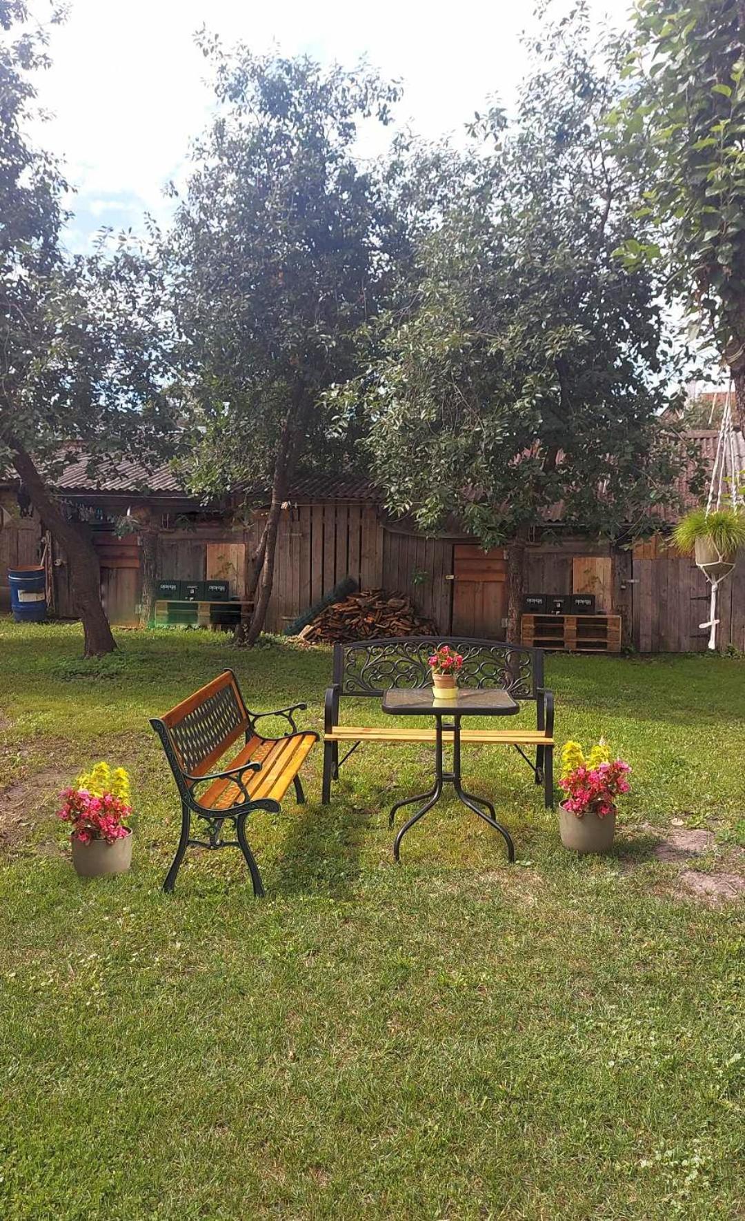 Cenkone Close To Sea And Park, Cozy Studio *